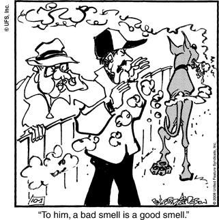 marmaduke